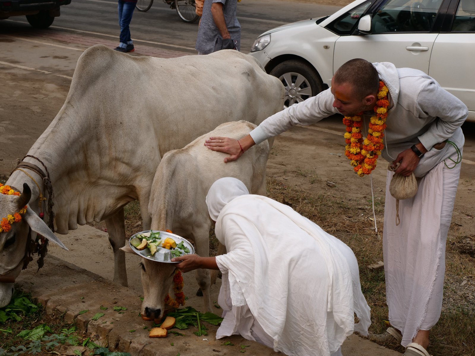  38 Gopashtami Radha kunda Govardhan 19.11.04
